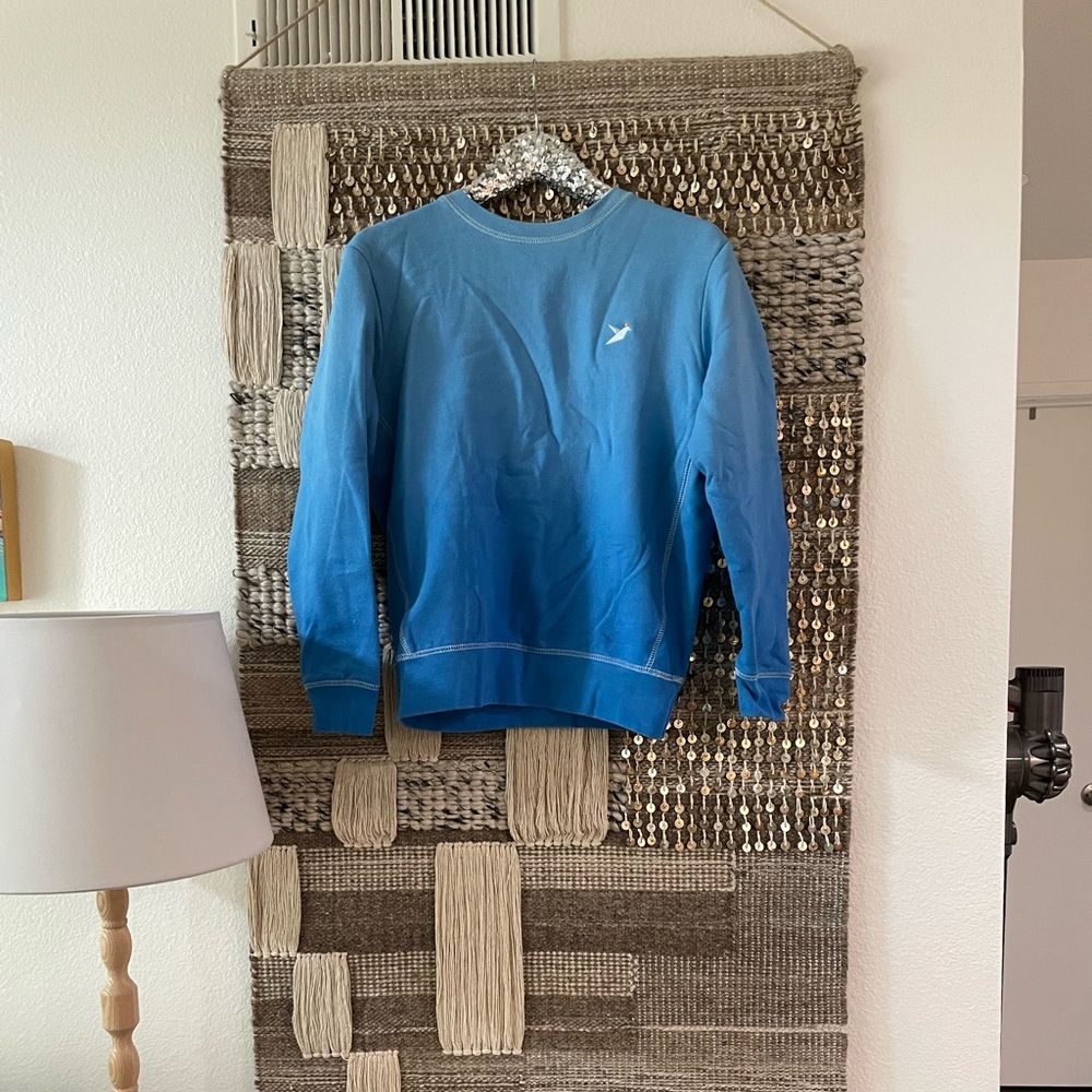 🩵 💙 🐦 Beakwings blue ombré crew neck sweatshirt